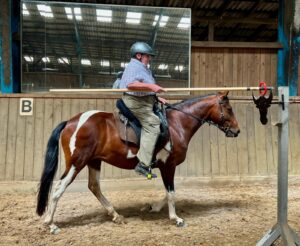 Working Equitation Mangalarga Marchador 