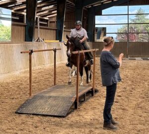 Working Equitation Mangalarga Marchador 