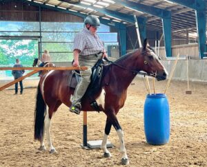 Working Equitation Mangalarga Marchador 