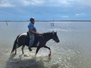 Wattritt in Cuxhaven mit Mangalarga Marchador